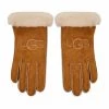 Accessoires Gants Femme Ugg - Sheepskin Embroider Glove 20931 Chestnut Marron -Promos Ugg Magasin 0191459154724 0097